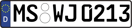MS-WJ0213