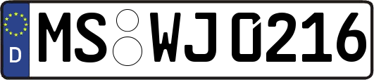 MS-WJ0216