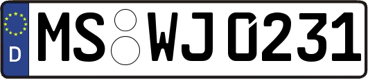MS-WJ0231