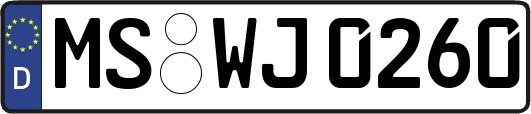 MS-WJ0260