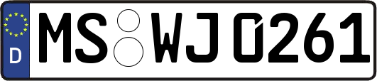 MS-WJ0261
