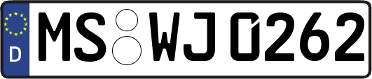 MS-WJ0262