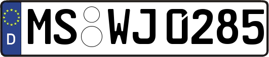 MS-WJ0285