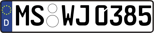 MS-WJ0385