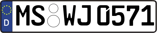 MS-WJ0571