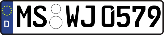 MS-WJ0579