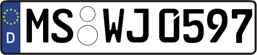 MS-WJ0597
