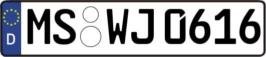 MS-WJ0616