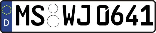 MS-WJ0641