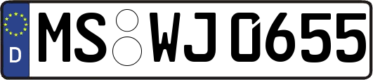 MS-WJ0655
