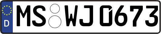 MS-WJ0673