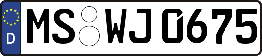 MS-WJ0675