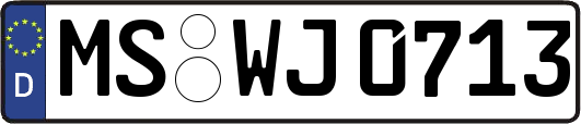 MS-WJ0713