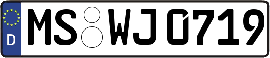 MS-WJ0719