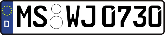 MS-WJ0730