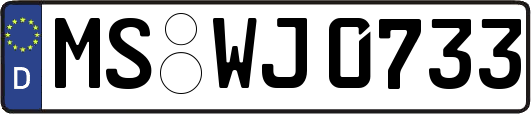 MS-WJ0733