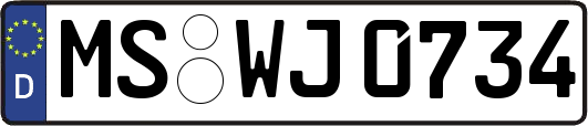 MS-WJ0734