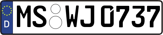 MS-WJ0737