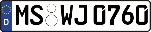 MS-WJ0760