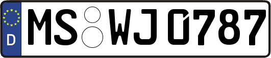 MS-WJ0787