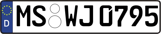 MS-WJ0795