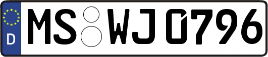 MS-WJ0796
