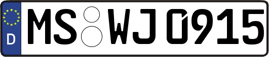 MS-WJ0915