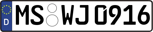 MS-WJ0916