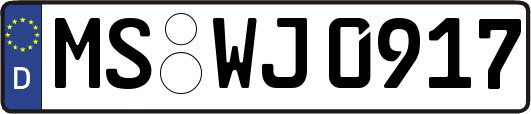 MS-WJ0917