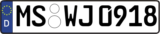MS-WJ0918