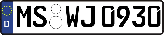 MS-WJ0930