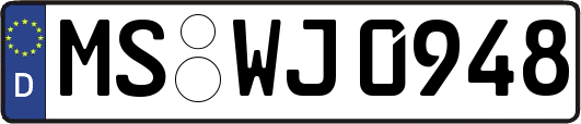 MS-WJ0948