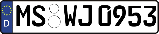 MS-WJ0953
