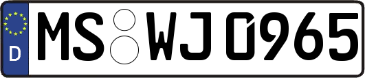MS-WJ0965