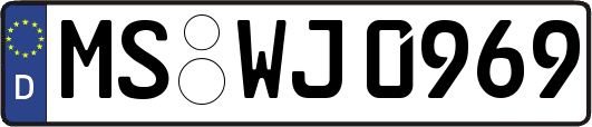 MS-WJ0969