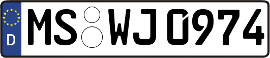 MS-WJ0974