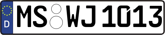 MS-WJ1013