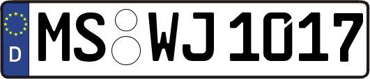 MS-WJ1017