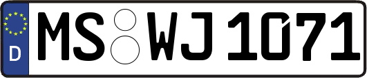 MS-WJ1071