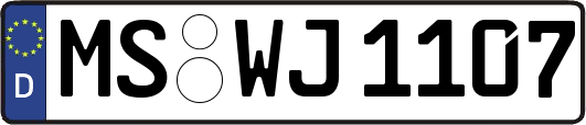 MS-WJ1107