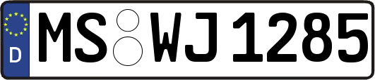 MS-WJ1285