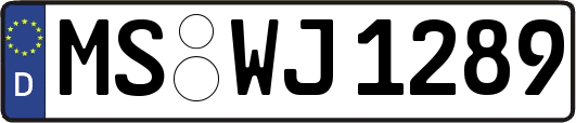 MS-WJ1289
