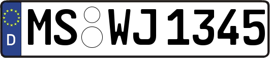 MS-WJ1345