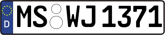 MS-WJ1371
