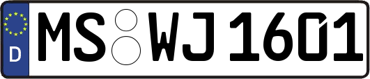MS-WJ1601
