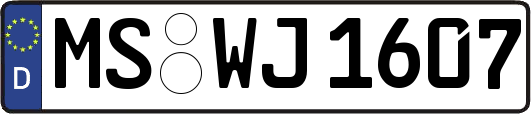 MS-WJ1607