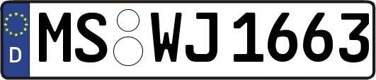 MS-WJ1663