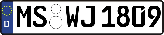 MS-WJ1809