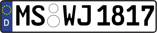 MS-WJ1817