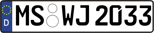 MS-WJ2033